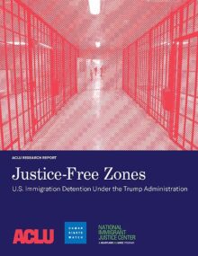 book-justice-free_zones_immigrant_detention_report