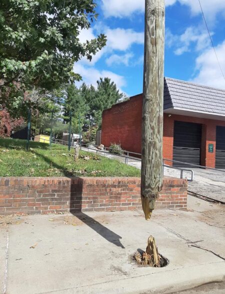 The power pole of positive thinking, by Anne Dickens