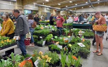 herb fest Shop till you drop