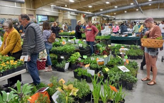 herb fest Shop till you drop