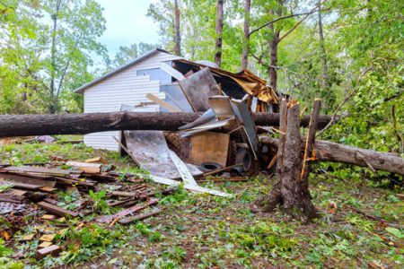 tree crushed house