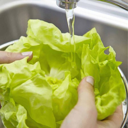 washing lettuce