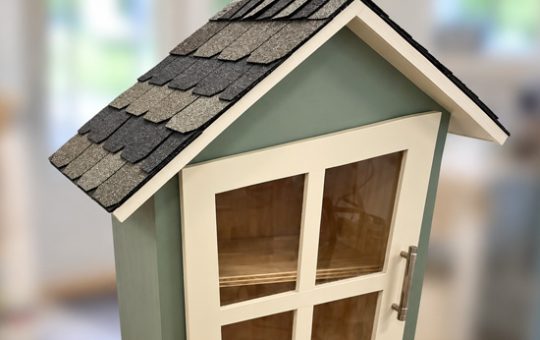 Reuse Award-Winning Little Library wide