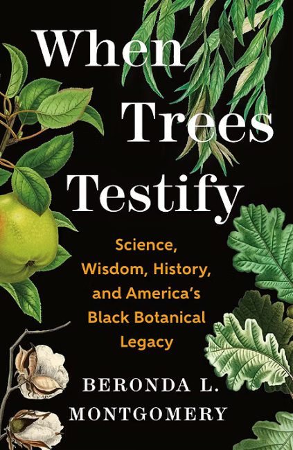 book-When Trees Testify