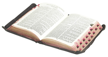 bible_web.jpg