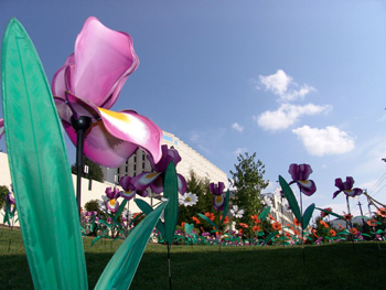 NAMI6300.jpg NAMI6300.jpg